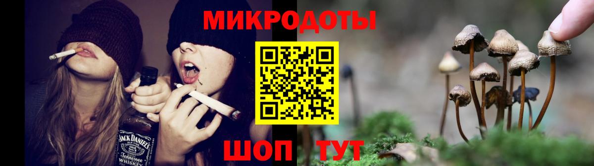 Псилоцибиновые грибы GOLDEN TEACHER Губкин